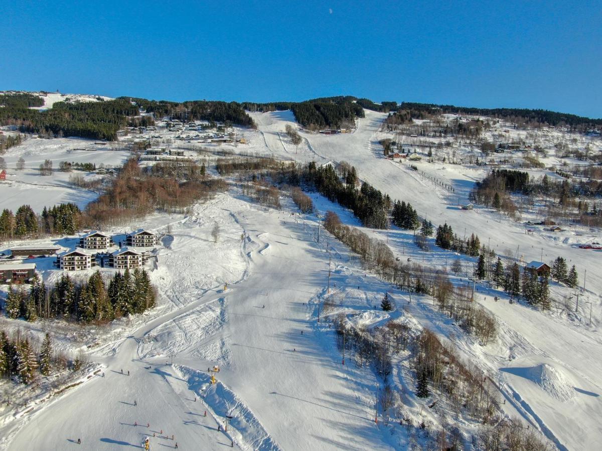 Alpin Apartments Solsiden ハーフィエル エクステリア 写真